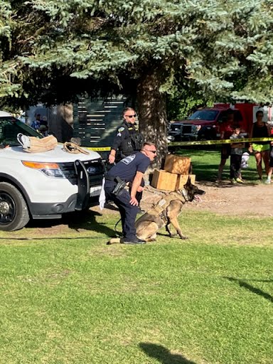 Carol merideth City Judge Cmpaign Livingston MT