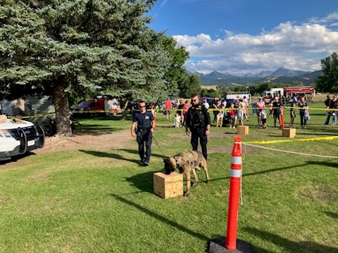 Carol merideth City Judge Cmpaign Livingston MT