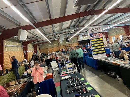 Carol merideth City Judge Cmpaign Livingston MT